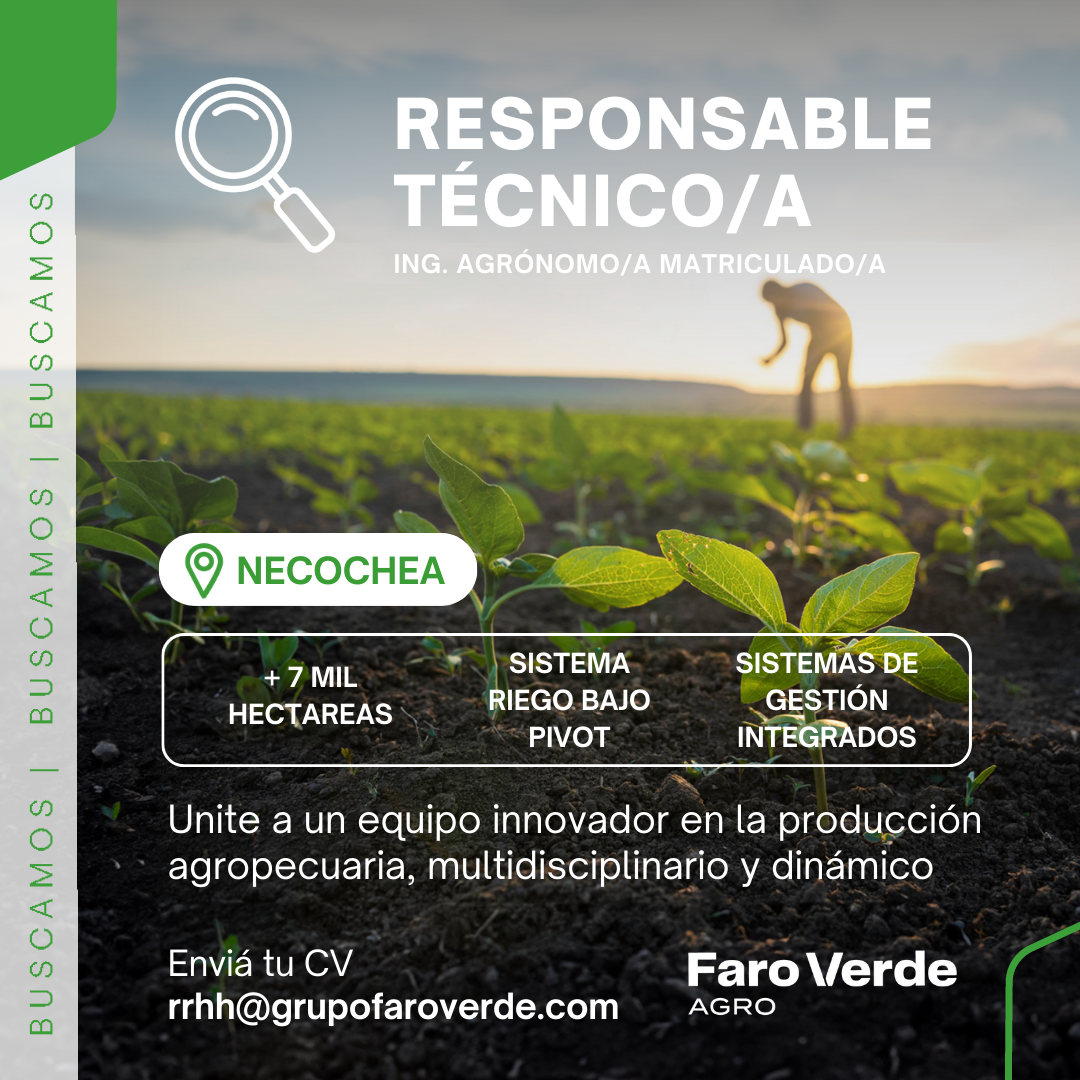 Responsable Técnico